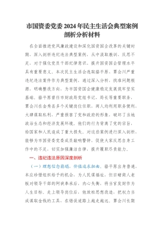 市国资委党委2024年民主生活会典型案例剖析分析材料
