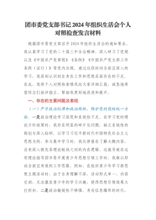 团市委党支部书记2024年组织生活会个人对照检查发言材料