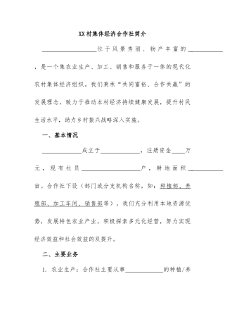 1.XX村集体经济合作社简介