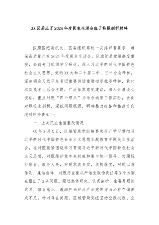 XX区局班子2024年度民主生活会班子检视剖析材料