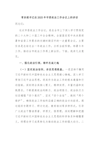 常务副书记在2025年市委政法工作会议上的讲话