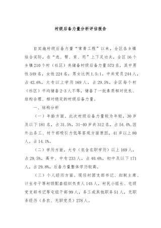 村级后备力量分析评估报告