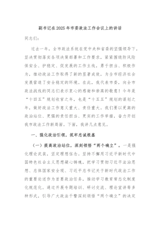 副书记在2025年市委政法工作会议上的讲话