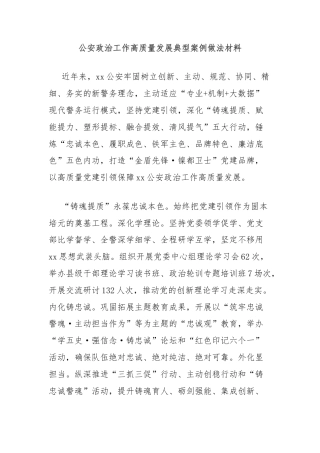 公安政治工作高质量发展典型案例做法材料
