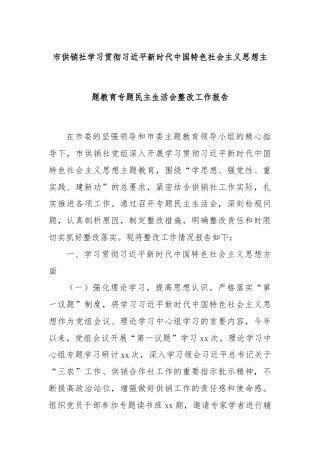 市供销社学习贯彻总书记新时代中国特色社会主义思想主题教育专题民主生活会整改工作报告