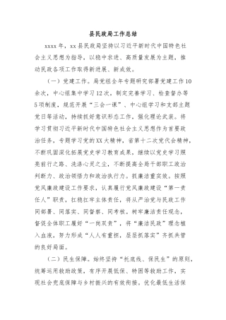 县民政局工作总结