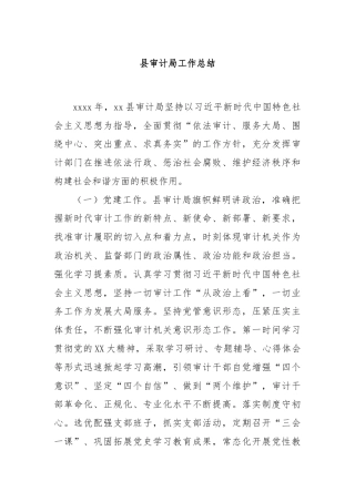 县审计局工作总结