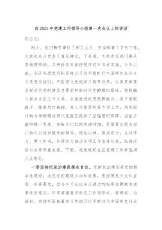 在2025年党建工作领导小组第一次会议上的讲话