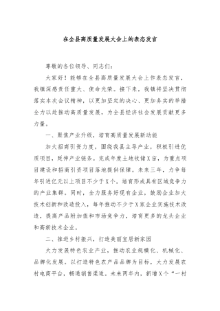 在全县高质量发展大会上的表态发言
