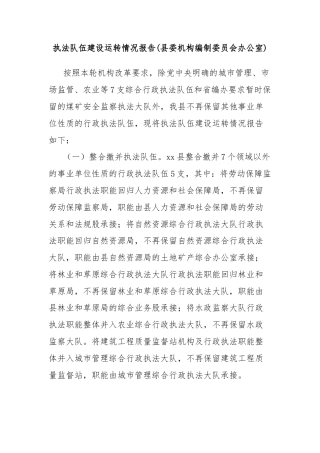执法队伍建设运转情况报告(县委机构编制委员会办公室)