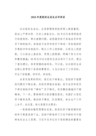 2024年度组织生活会点评讲话