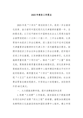 2025年商务工作要点