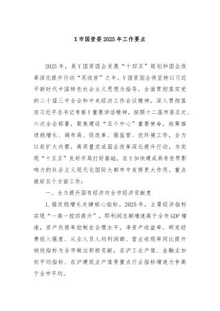 X市国资委2025年工作要点