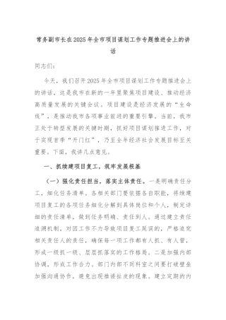 常务副市长在2025年全市项目谋划工作专题推进会上的讲话