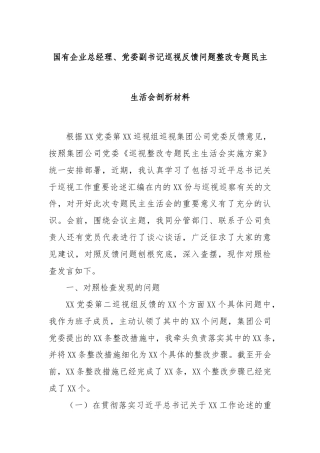 国有企业总经理、党委副书记巡视反馈问题整改专题民主生活会剖析材料