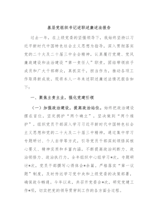 基层党组织书记述职述廉述法报告