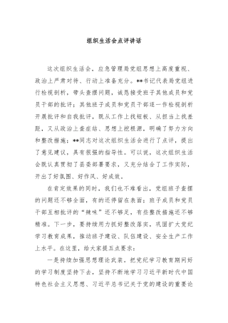 组织生活会点评讲话