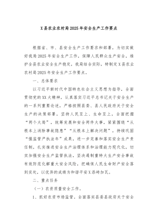 X县农业农村局2025年安全生产工作要点