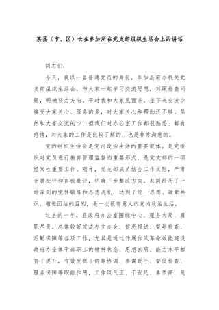 某县（市、区）长在参加所在党支部组织生活会上的讲话