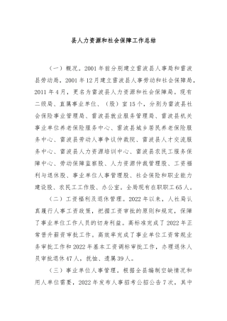 县人力资源和社会保障工作总结