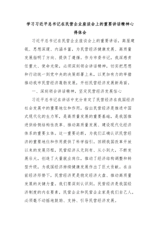 学习习近平总书记在民营企业座谈会上的重要讲话精神心得体会