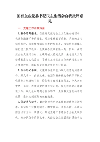 国有企业党委书记民主生活会自我批评意见
