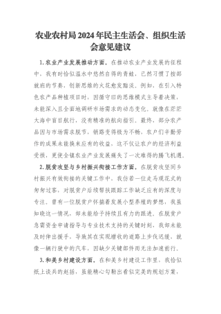 农业农村局2024年民主生活会、组织生活会意见建议