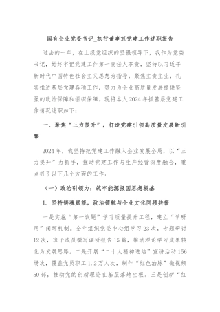 国有企业党委书记_执行董事抓党建工作述职报告