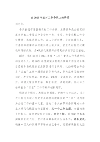 在2025年农村工作会议上的讲话