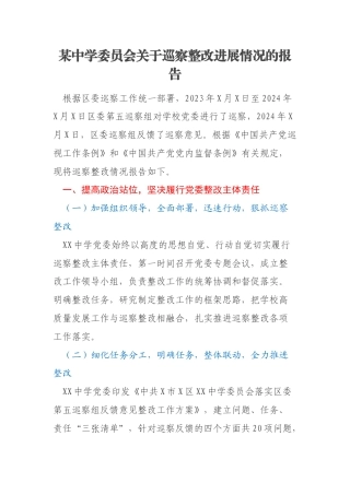 某中学委员会关于巡察整改进展情况的报告