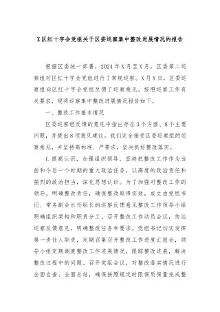 X区红十字会党组关于区委巡察集中整改进展情况的报告