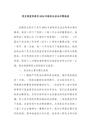 党支部宣传委员2024年组织生活会对照检查