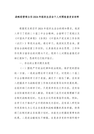 战略经营部主任2024年组织生活会个人对照检查发言材料
