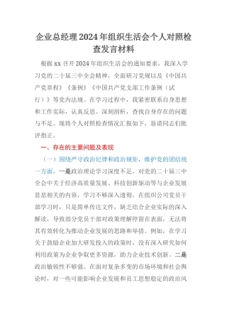 企业总经理2024年组织生活会个人对照检查发言材料