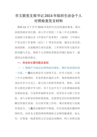市文联党支部书记2024年组织生活会个人对照检查发言材料