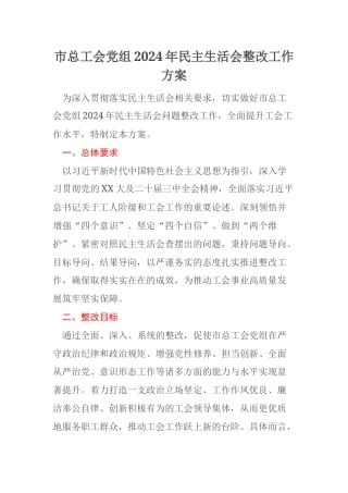 市总工会党组2024年民主生活会整改工作方案