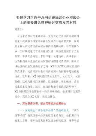 专题学习习近平总书记在民营企业座谈会上的重要讲话精神研讨交流发言材料