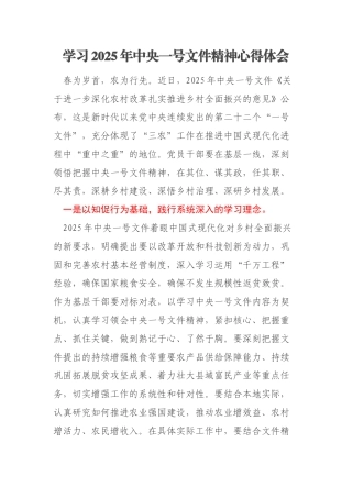 学习2025年中央一号文件精神心得体会