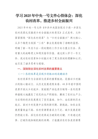 学习2025年中央一号文件心得体会：深化农村改革，推进乡村全面振兴