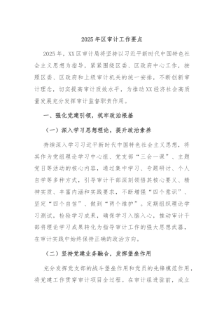 2025年区审计工作要点