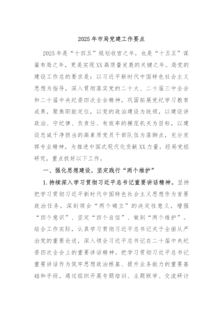 2025年市局党建工作要点