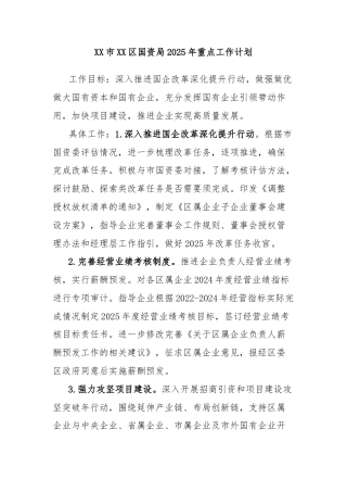 XX市XX区国资局2025年重点工作计划