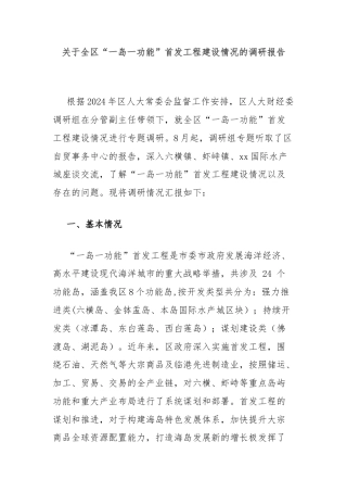 关于全区“一岛一功能”首发工程建设情况的调研报告