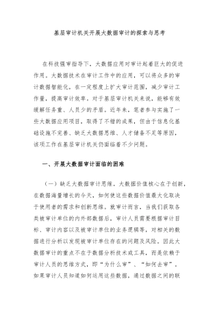 基层审计机关开展大数据审计的探索与思考