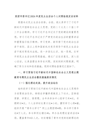 某团市委书记2024年度民主生活会个人对照检视发言材料