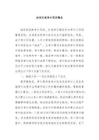 如何打造审计项目精品