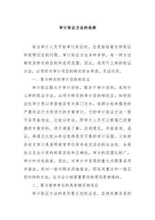 审计取证方法的选择