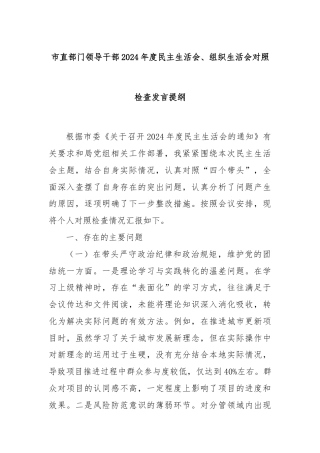 市直部门领导干部2024年度民主生活会、组织生活会对照检查发言提纲