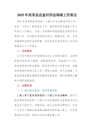 2025年某某县直意识形态领域工作要点