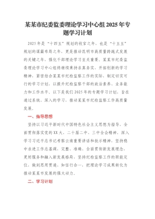 某某市纪委监委理论学习中心组2025年专题学习计划